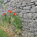 Kellerei5 1 Ochsenfurt